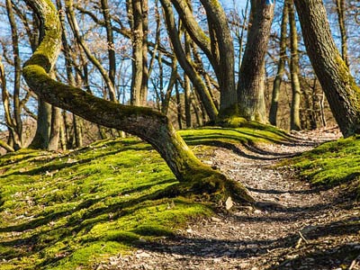 在线短信轰炸网页版